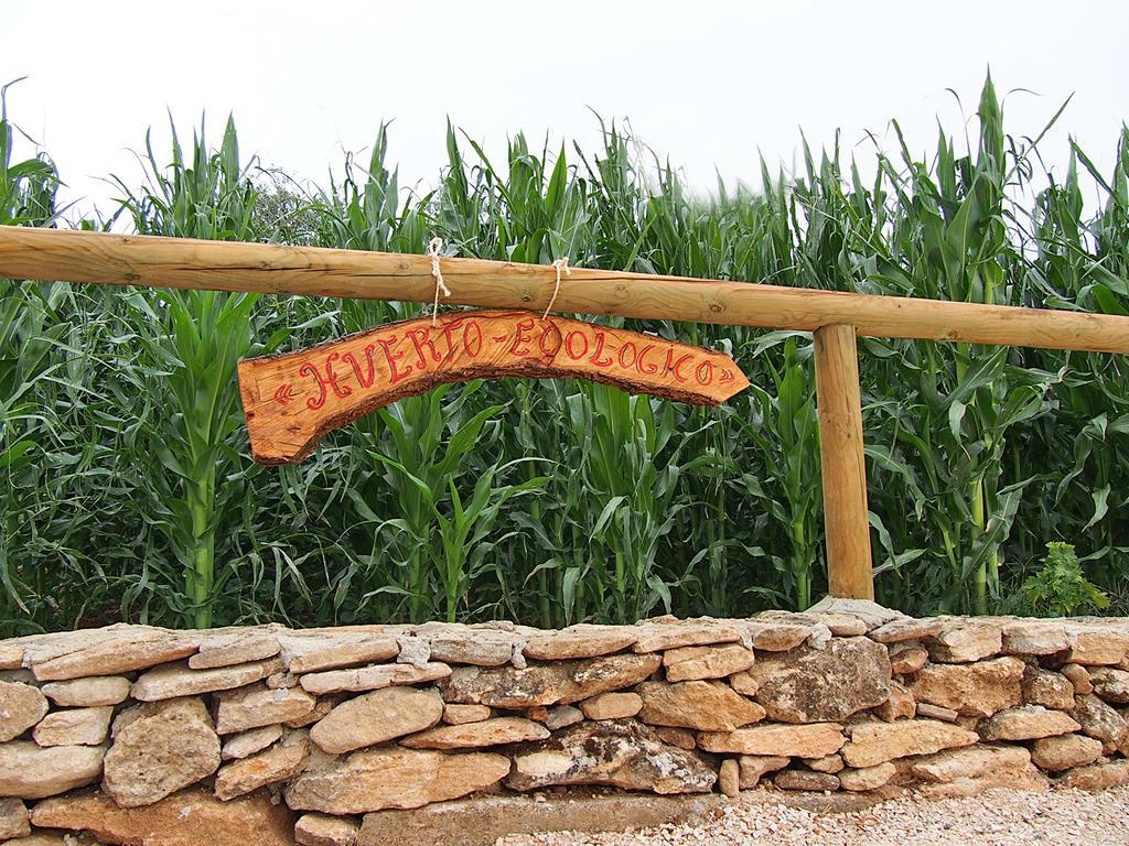 Alojamiento Rural La Pila Ronda Exterior photo